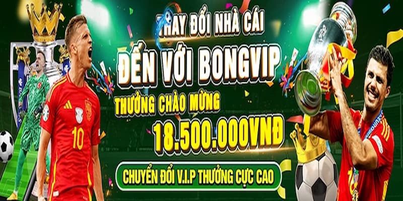 Bongvip - Tất Cả Mã Tặng Quà Chỉ Có Tại Sân Cược Hàng Đầu